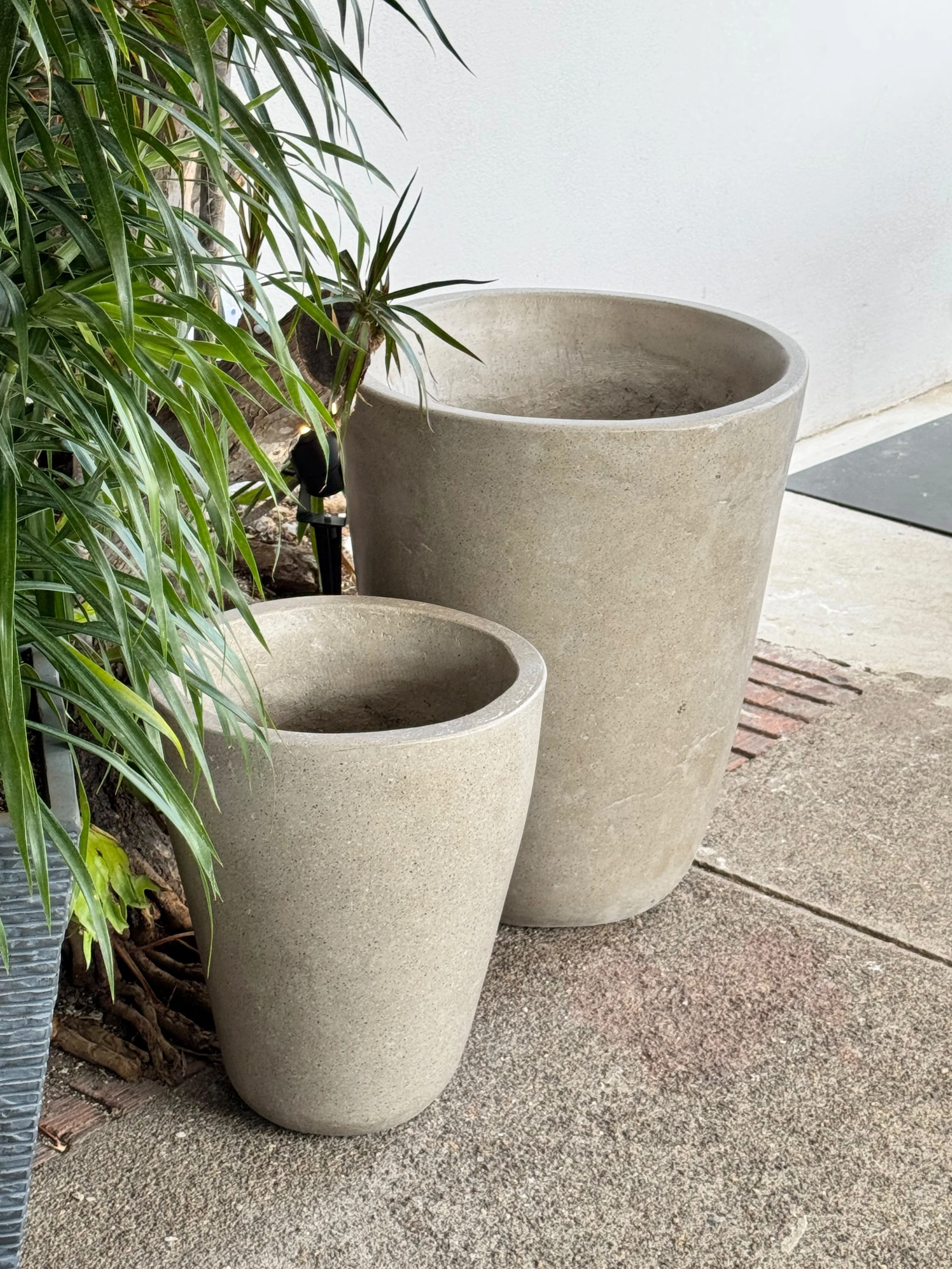 Dos maceteros cónicos de concreto claro de distinto tamaño junto a una planta, sobre piso de cemento