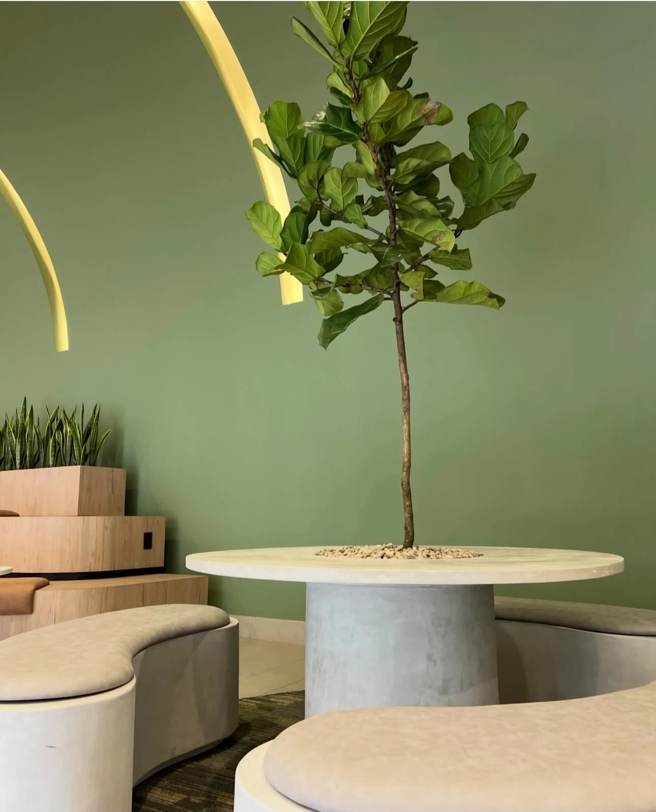 Mesa redonda de concreto con tapa blanca y pata cónica gris, con un árbol que sale del centro, entre bancas curvas y pared verde