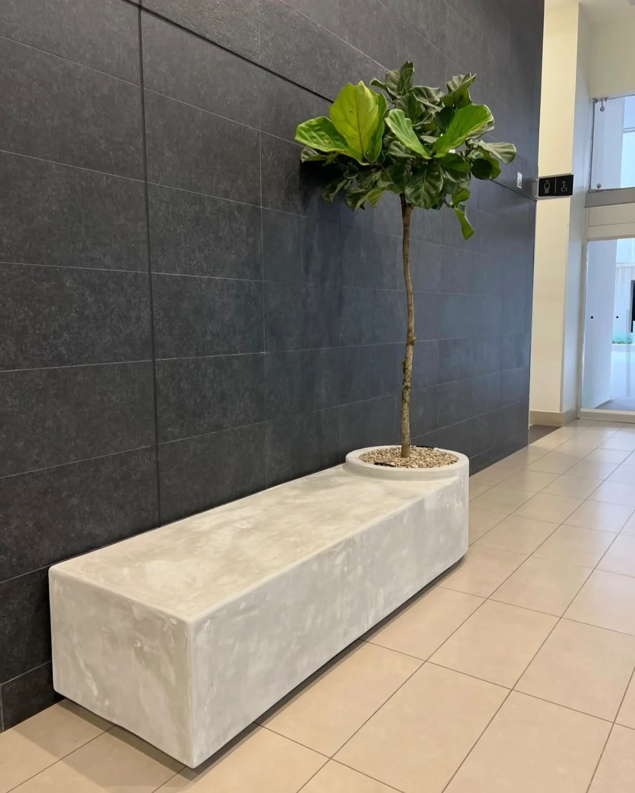 Banca baja de concreto blanco con jardinera integrada con un árbol de hojas grandes, junto a pared de azulejo oscuro en vestíbulo
